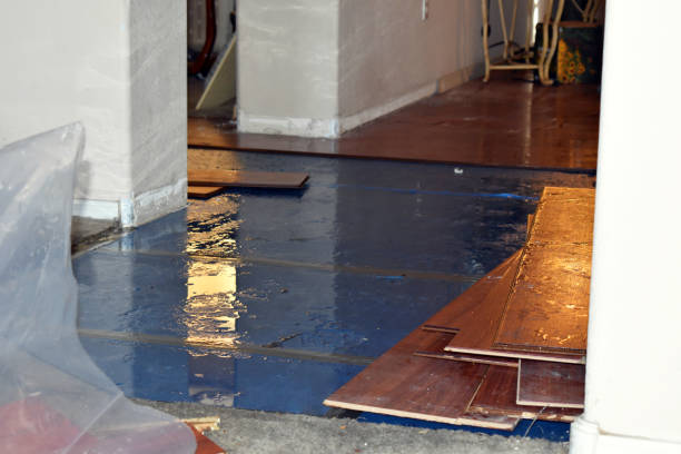 Professional Flood Cleanup technician working in Thornton, PA